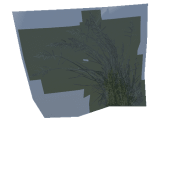 Grass_ (56)